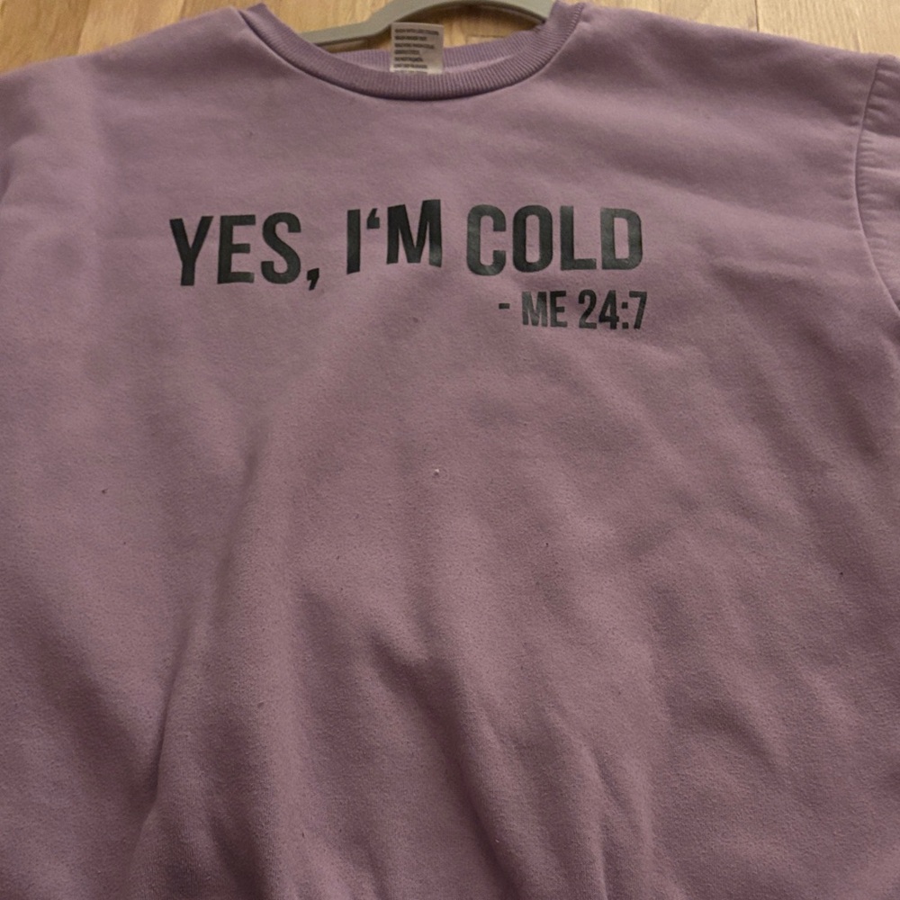 SHEIN Purple Crew Neck Sweater